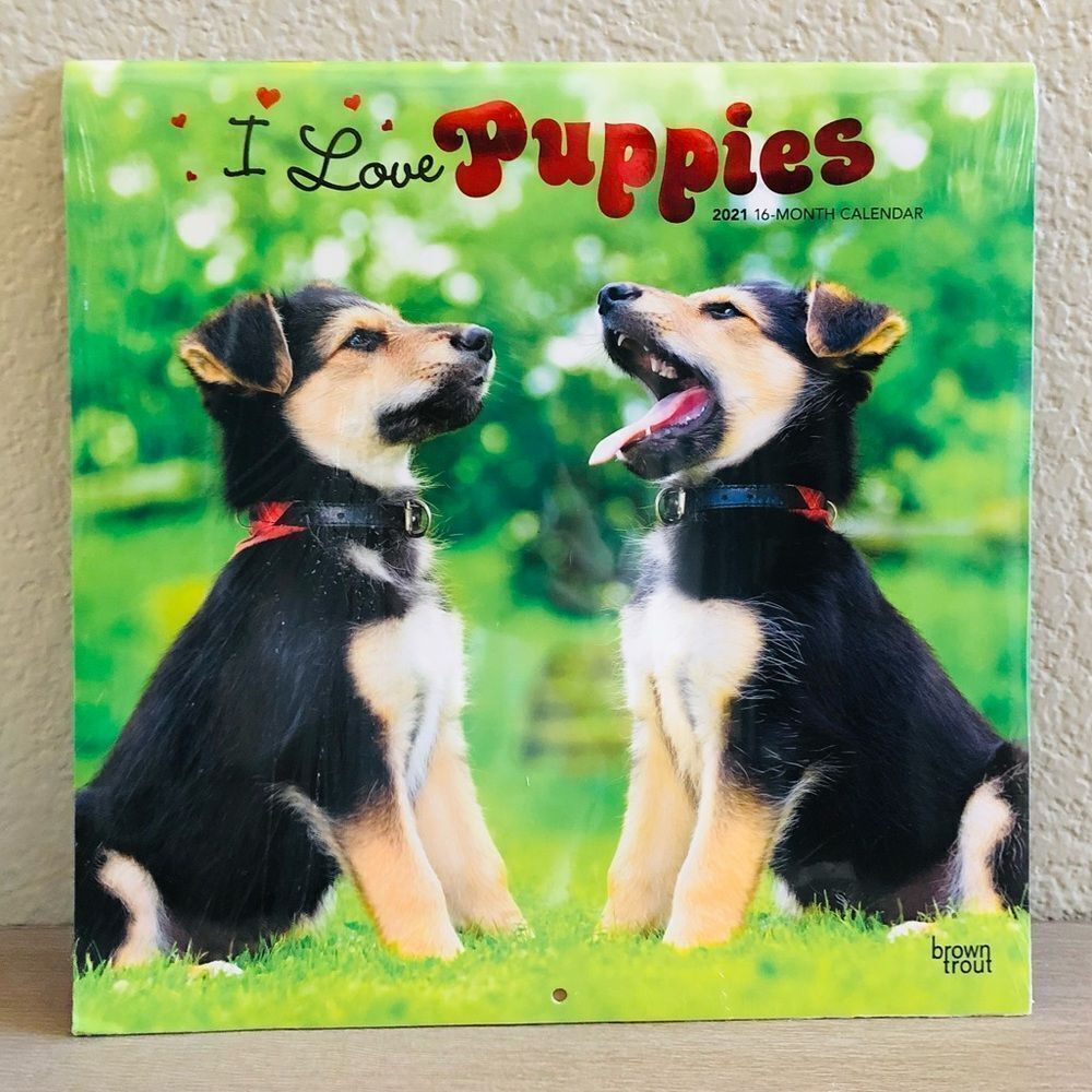 Puppies Wall Art Cat Dog Decor Calendar